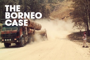 The Borneo Case