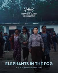 Elephants in the Fog