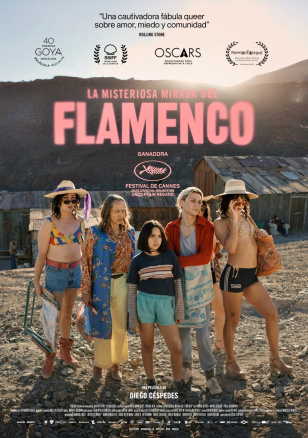 The Mysterious Gaze of the Flamingo